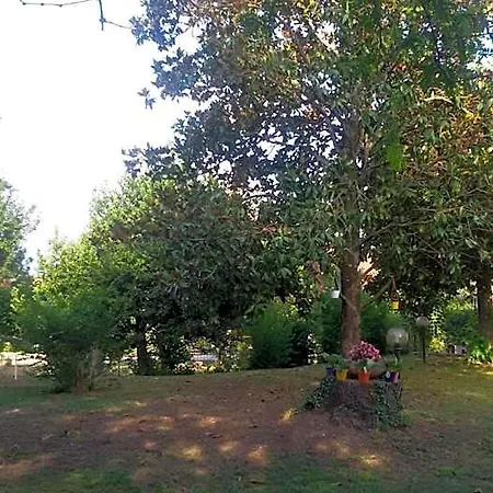 Le Vigne 3*